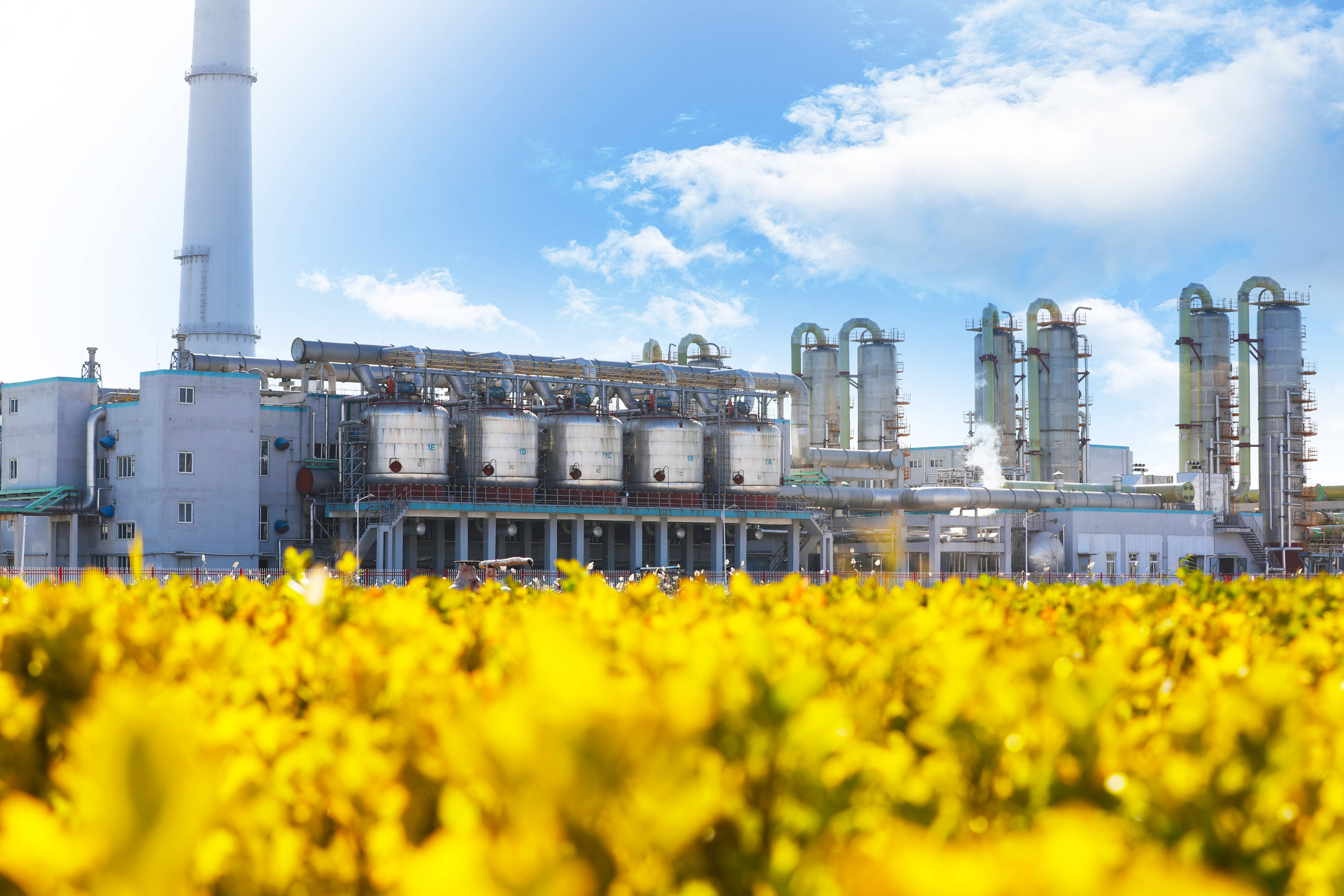 J9集团直营·(中国)官方网站